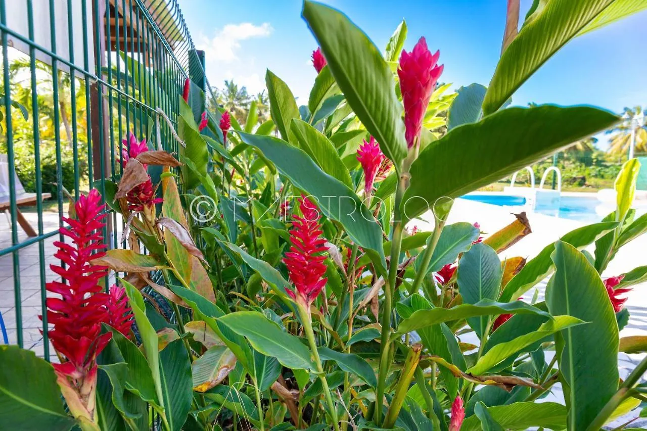 Gites Papillons Saint-Francois  Holiday home